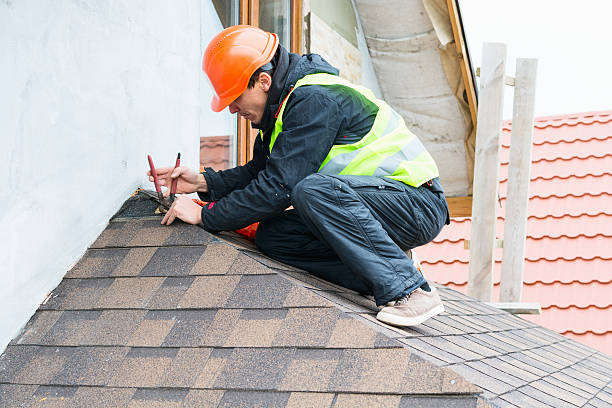 Best Roof Gutter Cleaning  in Kapn, LA